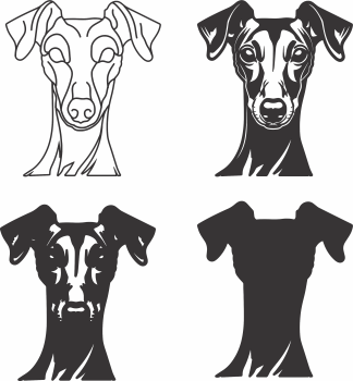 imagem do arquivo vetor para download Vetor de cão Italian Greyhound