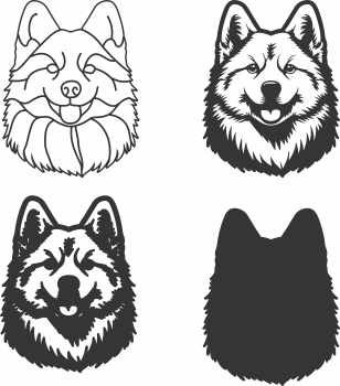 imagem do arquivo vetor para download Vetor de cão Japanese Akita