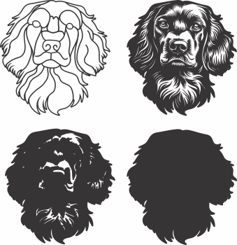 imagem do arquivo vetor para download Vetor de cão Field Spaniel