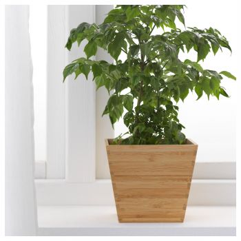 imagem do arquivo vetor para download Vaso de Plantas