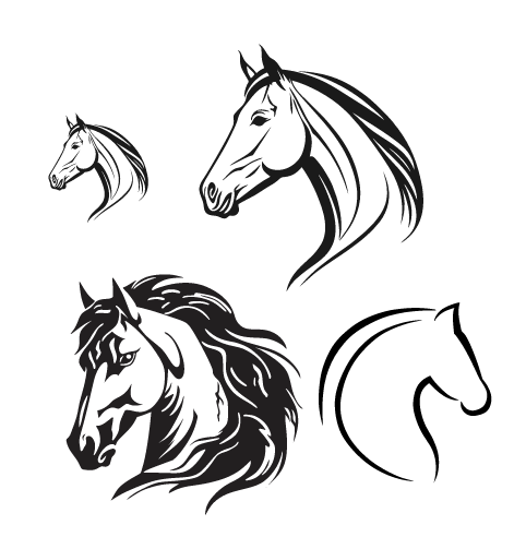 imagem do arquivo vetor para download CAVALOS HORSE VETOR